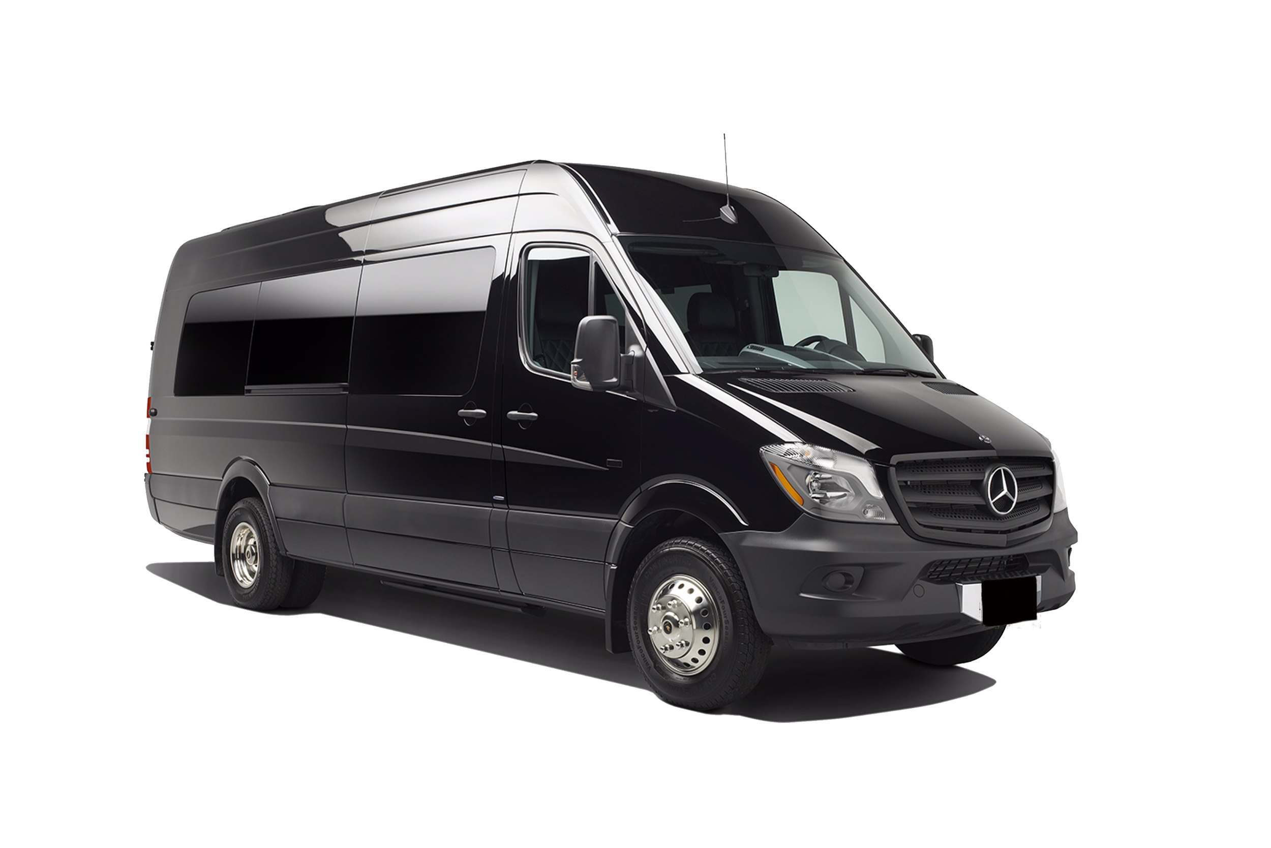 Mercedes Sprinter Limo Van